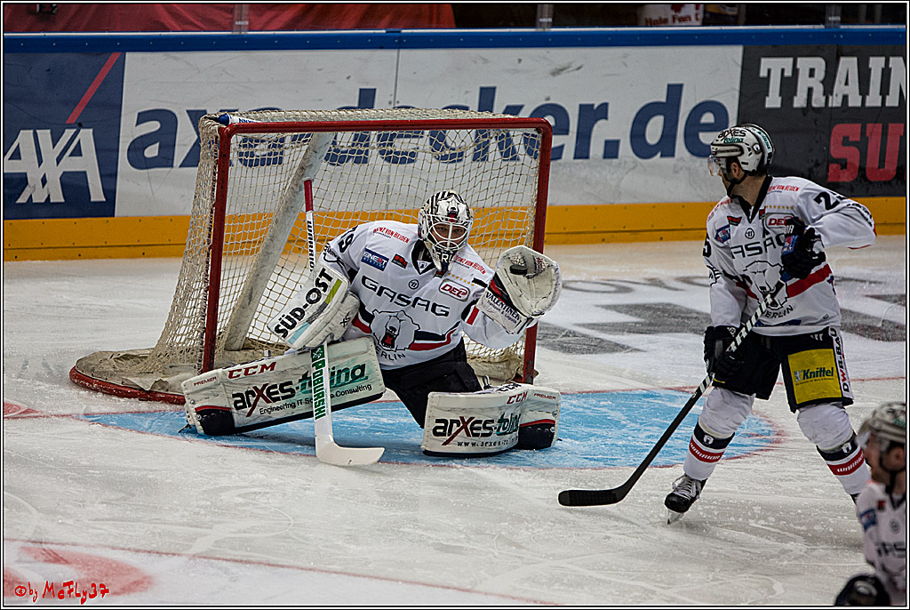 Koelner Haie - Eisbaeren Berlin, 13.11.2016